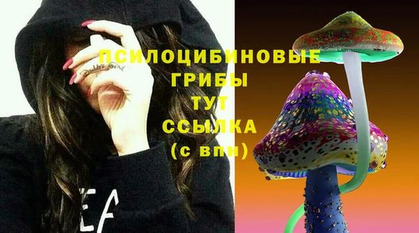 эйфоретик Кулебаки