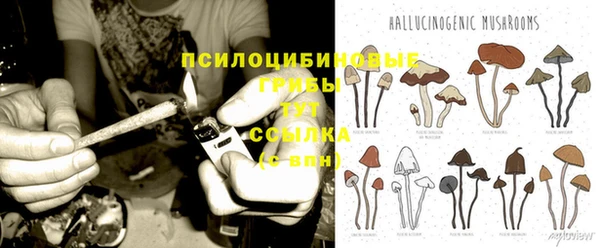 2c-b Кукмор