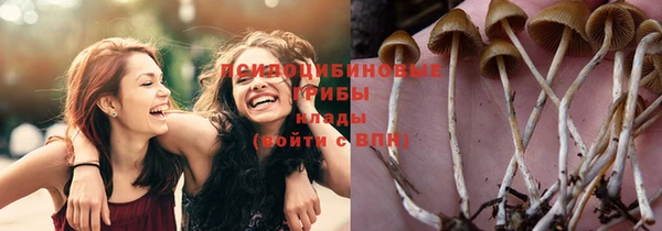 первитин Куйбышев