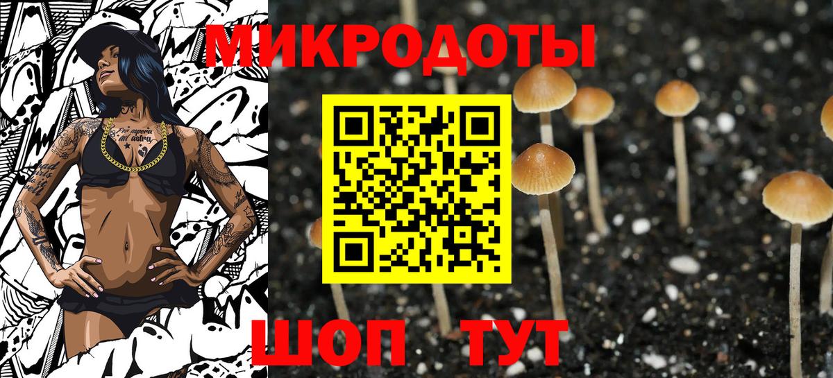 Псилоцибиновые грибы MAGIC MUSHROOMS Мытищи