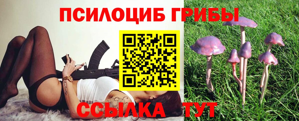 Галлюциногенные грибы GOLDEN TEACHER  Галлюциногенные грибы мицелий  Вход с VPN  Мытищи 